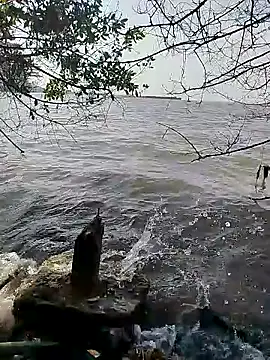 Snapshot of Andreskelly chatting on February 16, 2026, 1:51 pm Andreskelly online show from February 16, 2026, 1:51 pm