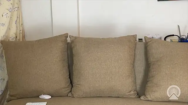 velvetvista online show from January 18, 2026, 4:16 am