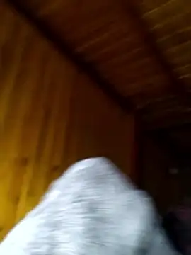 Snapshot of neko-nancy chatting on February 28, 2026, 2:29 pm neko-nancy online show from February 28, 2026, 2:29 pm