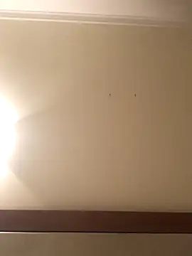 Snapshot of Palinchik chatting on January 7, 2026, 9:39 pm Palinchik online show from January 7, 2026, 9:39 pm