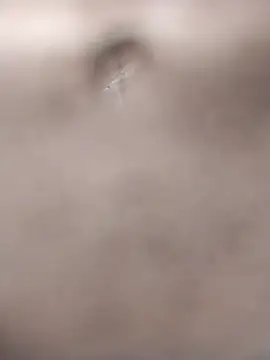 Laxmi9090 online show from February 19, 2026, 6:31 am