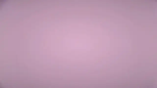 LexiMoss online show from April 17, 2026, 2:09 pm