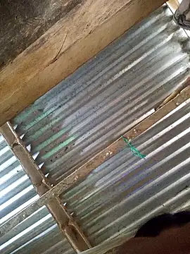 Rousse uwu online show from January 8, 2026, 5:15 pm