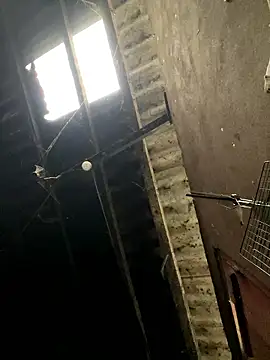 Nika-be online show from January 17, 2026, 1:54 am