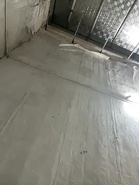 leo-kitty online show from April 8, 2026, 3:12 pm