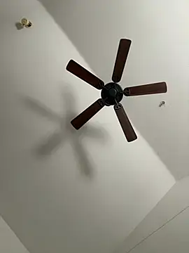 faces818 online show from March 21, 2026, 5:16 pm