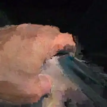 abmelken online show from April 15, 2026, 11:17 am