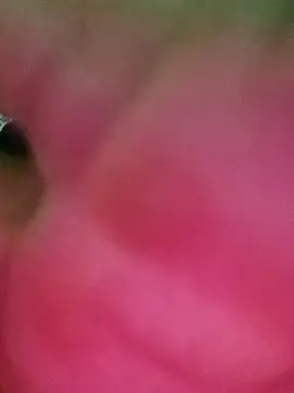 swartilodhi123 online show from February 9, 2026, 4:00 pm