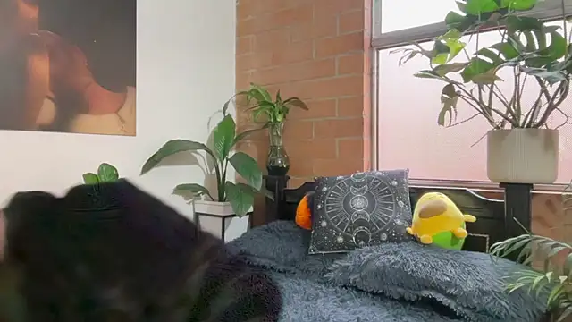 Snapshot of Andy_Belier23 chatting on February 20, 2026, 11:54 am Andy Belier23 online show from February 20, 2026, 11:54 am