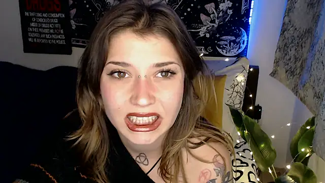 AlienforTwenty online show from February 20, 2026, 1:44 pm