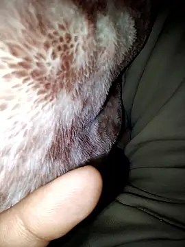 Snapshot of aman4404 chatting on January 13, 2026, 6:08 am aman4404 online show from January 13, 2026, 6:08 am