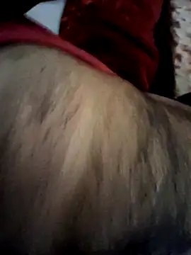 aman4404 online show from February 20, 2026, 9:00 am