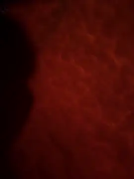 Sweetley online show from February 2, 2026, 3:22 pm