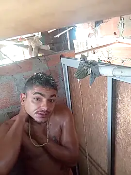 Snapshot of Ardo1899 chatting on January 19, 2026, 11:47 am Ardo1899 online show from January 19, 2026, 11:47 am