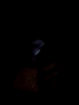 yourwellman online show from March 5, 2026, 5:20 pm