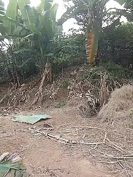 Menlike69 online show from January 11, 2026, 2:27 am