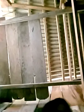 DIANAKUTE online show from March 8, 2026, 3:32 am