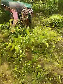 Snapshot of hornycouple20000 chatting on January 8, 2026, 5:43 am hornycouple20000 online show from January 8, 2026, 5:43 am