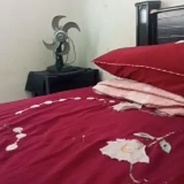    - - bucetuda  2026 online show from January 6, 2026, 2:43 pm