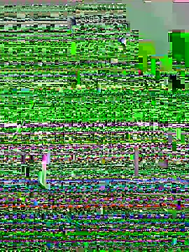 lzinho9153 online show from April 16, 2026, 4:19 pm