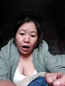 donaaa2 online show from February 20, 2026, 8:27 am