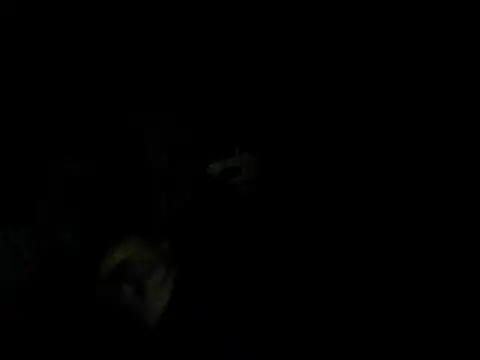 woxihuanzheli123 online show from April 27, 2026, 2:04 pm