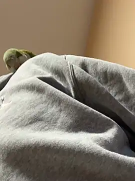 Andres56ojh online show from February 14, 2026, 11:01 pm