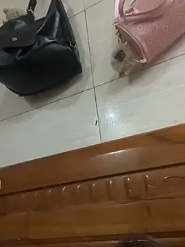 Liness101 online show from February 4, 2026, 12:05 am