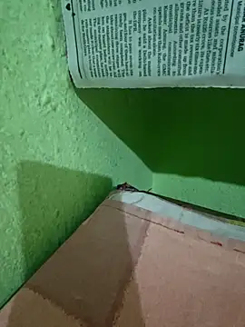 Pagelboy 089 online show from April 9, 2026, 11:04 am