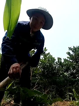 vanvan005 online show from April 8, 2026, 3:17 am