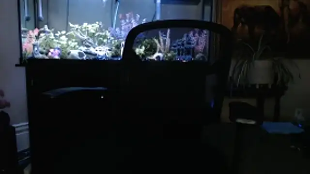 EspanolVato online show from March 5, 2026, 11:45 pm