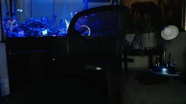 EspanolVato online show from March 18, 2026, 9:12 am