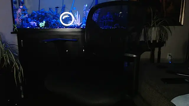 EspanolVato online show from April 17, 2026, 8:50 am