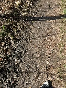 Nickwichst online show from March 12, 2026, 9:15 am