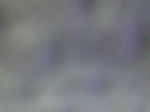 Minico25 online show from March 29, 2026, 2:44 am