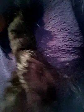 Queen chayna online show from January 16, 2026, 10:47 pm