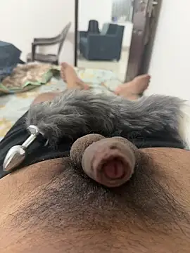 Indian slave dog online show from January 14, 2026, 2:01 pm