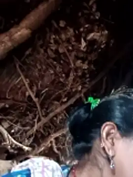 Manvi hote online show from February 3, 2026, 5:38 am