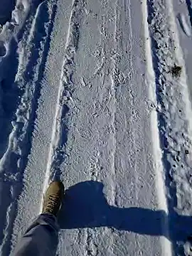 Snapshot of Erz84 chatting on February 19, 2025, 12:25 am Erz84 online show from February 19, 2025, 12:25 am