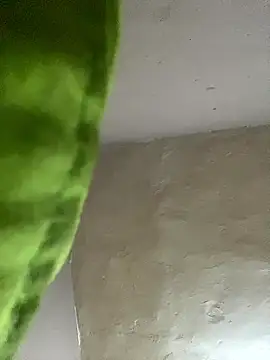 kwandero1234 online show from January 12, 2026, 7:41 pm