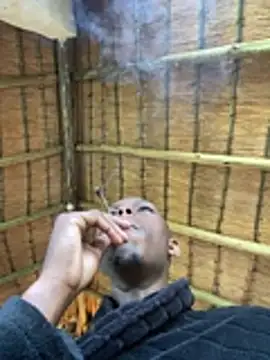 kwandero1234 online show from January 14, 2026, 4:07 am