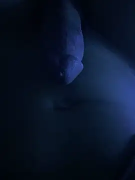 fofi77 online show from April 17, 2026, 9:29 pm