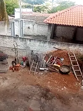     gozada---- online show from January 13, 2026, 11:04 am