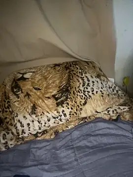 magneto01 online show from April 5, 2026, 2:09 am