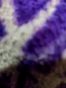 Snapshot of Gaonkadesiland chatting on January 15, 2026, 6:22 pm Gaonkadesiland online show from January 15, 2026, 6:22 pm