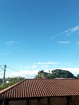 --------bucetuda------- online show from January 8, 2026, 8:00 pm