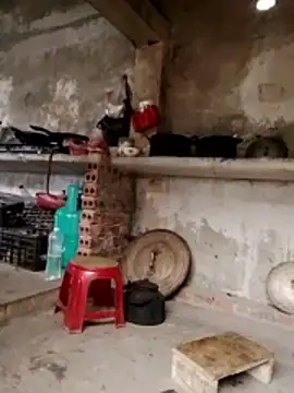 cdyyds-69 online show from February 5, 2026, 5:23 am