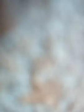 talytah online show from February 19, 2026, 9:27 am