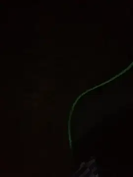 Snapshot of leox98xx chatting on January 10, 2026, 9:33 am leox98xx online show from January 10, 2026, 9:33 am