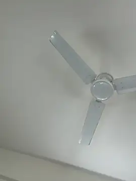 Snapshot of Cutenikkibaby chatting on February 23, 2026, 6:33 am Cutenikkibaby online show from February 23, 2026, 6:33 am